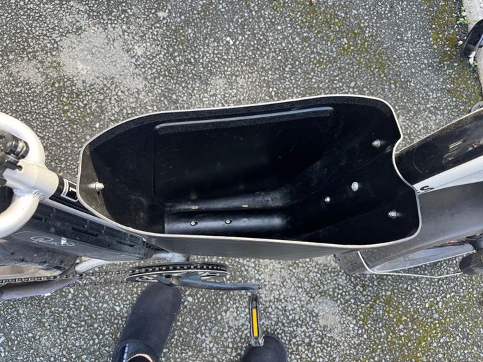 Radrunner plus ebike