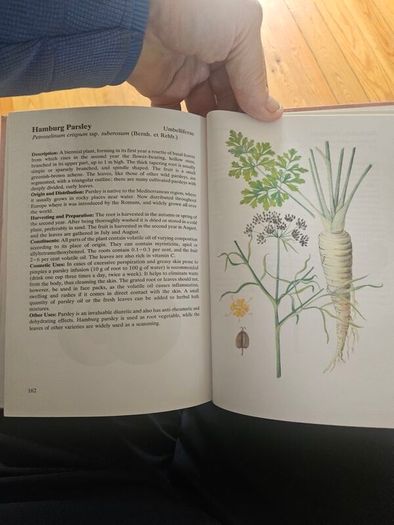 Natural Beauty Care With Flowers And Plants. B. Hlava, Z. Krejcova. Hardback In Good Condition.  See Photos For Same.