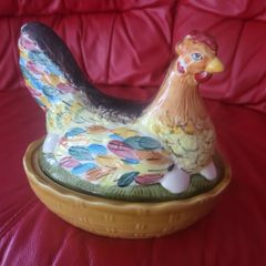 hen on nest