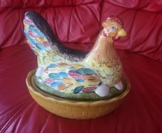 hen on nest