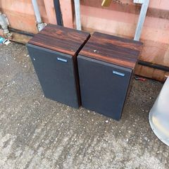 Pioneer Speaker