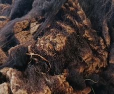 Sheep Wool For Gardening 1kg