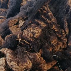 Sheep Wool For Gardening 1kg