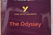 The odyssey