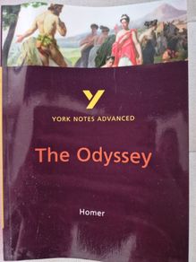 The odyssey