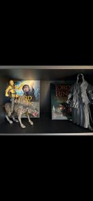 Lord of The Rings Figures & Books
