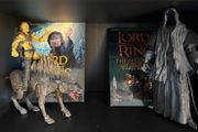 Lord of The Rings Figures &amp; Books