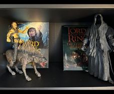 Lord of The Rings Figures & Books