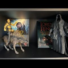 Lord of The Rings Figures & Books