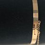 Gold Plated Image 2