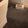 Rug Image 2