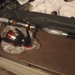 Fishing rod