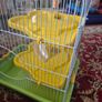 Small Hamster cage with accessories Image 3