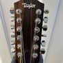 Taylor 12 String Guitar for sale Image 3