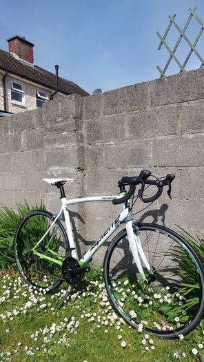 Lapierre Audacio 300 Road Bike - Shimano Sora - Size L/56cm - Fully Serviced - Excellent Condition
