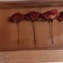 Dried flowers in frame Image 4