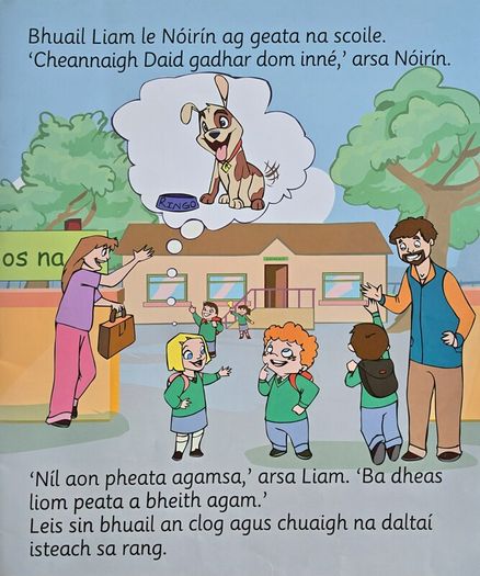 Leabhair Ollmhora Gaeilge [18"x15"] le haghaidh paisti/leanai/gasur - Huge Irish books for kids