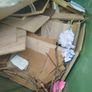 Free firewood Image 3