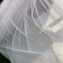 Debenhams Communion Dress: 9-11yrs Image 8