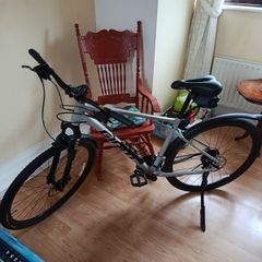 Giant Roam adult road bike