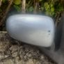 Car door mirrors, Electric & Manual Image 4