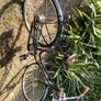 Vintage Style Bike Image 5