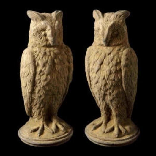 Owl Eg017