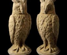 Owl Eg017