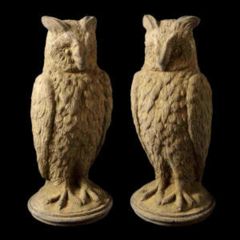 Owl Eg017