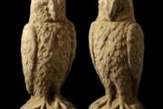 Owl Eg017