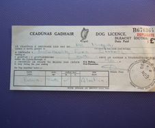 Irish Memorabilia.