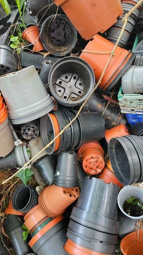 Free Plant Pots