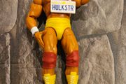 WWE wrestling wrestling figures