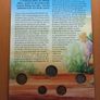 Morocco vintage original coins set Image 3