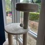Cat Tree Image 5