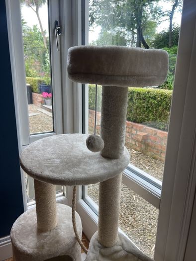Cat Tree