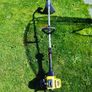 strimmer Image 4