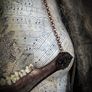 1 Copper Chain Wild Deer Jaw Viking Amulet Talisman Necklace Wasteland Bone Wearable Art Image 6