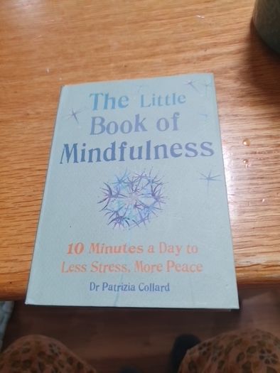 The Little Book Of Mindfulness 10 Minutes A Day To Less Stress More Peace