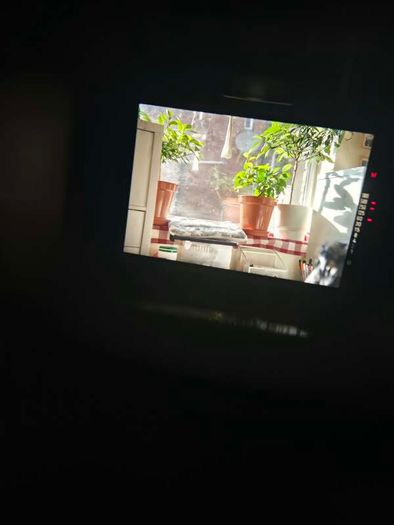 Minolta X-300 (black) - Serviced & Ready to Use Film Camera (body only)