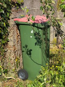 Wheelie bin