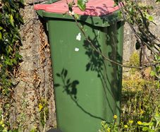 Wheelie bin