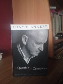 Tony Flannery- A Q. of Conscience