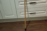 Walking stick