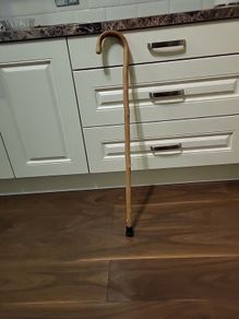 Walking stick
