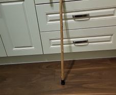 Walking stick