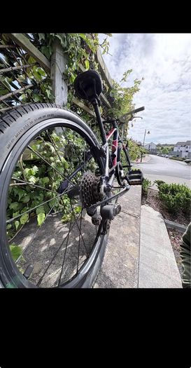 Wiggins bike