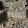 Silage Image 2