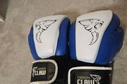 Boxing Gloves (sparing)