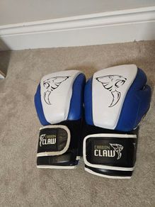 Boxing Gloves (sparing)